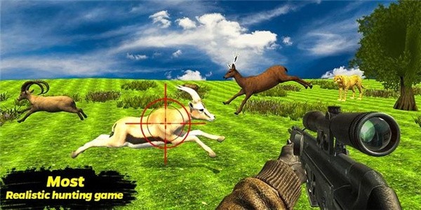 猎鹿探险游戏