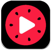 西瓜视频免费观看版