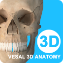 维萨里3D解剖安卓版