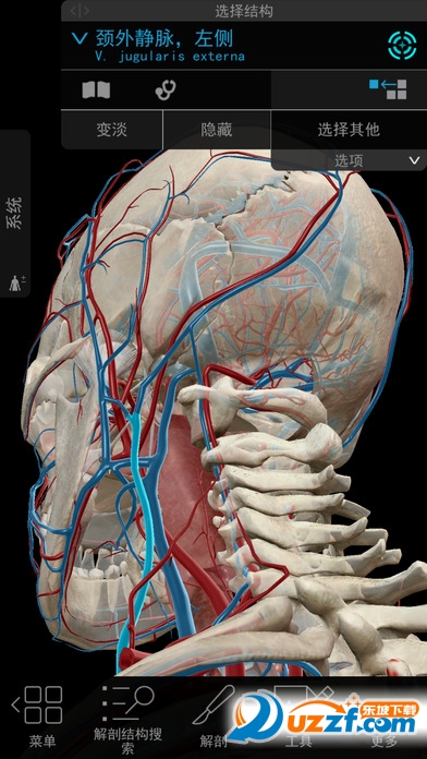 2020版人体解剖学图谱