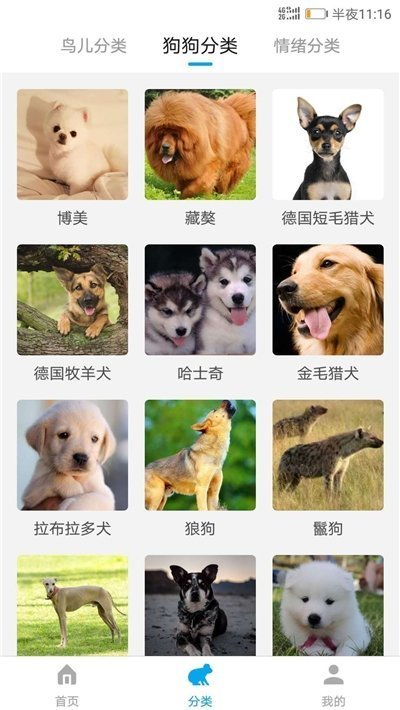 动物翻译器汉化版
