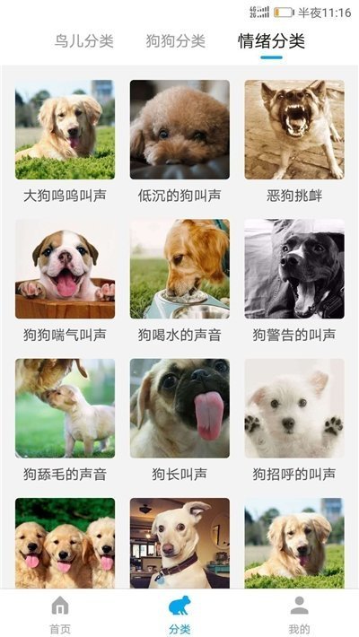 动物翻译器汉化版