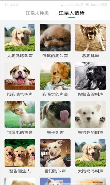 动物翻译器中文版