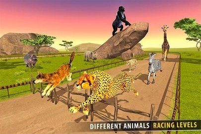 热带草原动物赛跑3D破解版